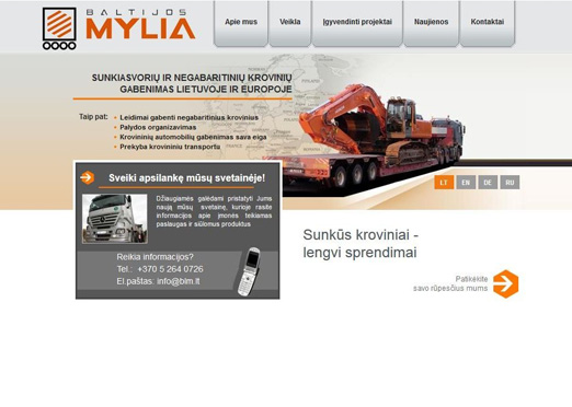 Sukurta interneto svetainė www.blm.lt